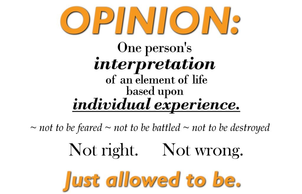 Opinions are not wrong or right. They are opinions. Now shut up about fandom debates. (via Agents of Fandom)