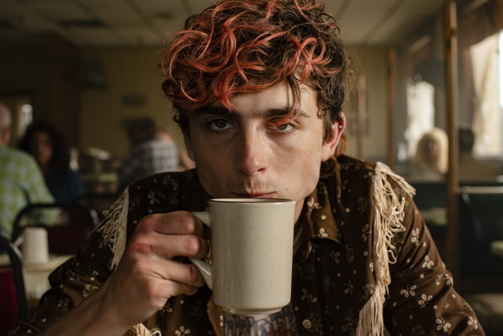 timothy chalamet is captivating as a cannibal, because why not

via agents of fandom