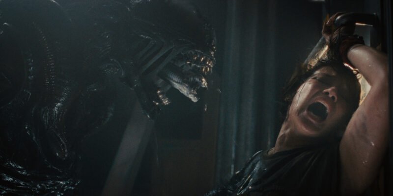 A xenomorph about to bite into Cailee Spaeny's Rain in Alien: Romulus | Agents of Fandom