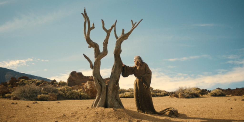 Daniel Weyman as The Stranger, putting his hand up to touch a tree in the desert | Agents of Fandom